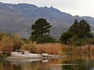photo thumbnail #13