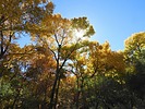 photo thumbnail #11