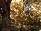 photo thumbnail #13