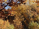 photo thumbnail #14