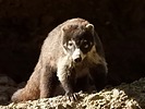 2024-12-01 :3: Hiking around the Gila :: outdoor_lover