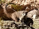 2024-12-01 :3: Hiking around the Gila :: outdoor_lover