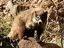2024-12-01 :3: Hiking around the Gila :: outdoor_lover