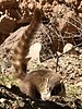 2024-12-01 :3: Hiking around the Gila :: outdoor_lover