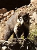 2024-12-01 :3: Hiking around the Gila :: outdoor_lover