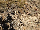 2024-12-01 :3: Hiking around the Gila :: outdoor_lover