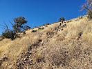 photo thumbnail #5