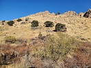 photo thumbnail #5