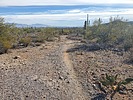 photo thumbnail #4