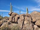 photo thumbnail #5