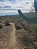photo thumbnail #12