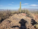photo thumbnail #12