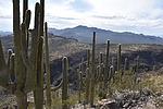 photo thumbnail #6