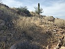 photo thumbnail #9