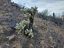 photo thumbnail #11