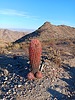 photo thumbnail #4