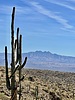 photo thumbnail #12
