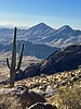 photo thumbnail #10