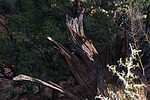 photo thumbnail #11