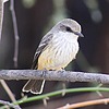 2024-12-16 :2: Riparian Preserve at Water Ranch - Gilbert :: gummo