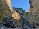 photo thumbnail #4
