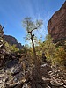 photo thumbnail #12