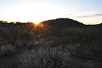 photo thumbnail #10