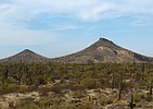 2024-12-17 :2: Granite Mountain Loop Trail - MSPN :: LosDosSloFolks