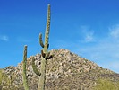 2024-12-17 :2: Granite Mountain Loop Trail - MSPN :: LosDosSloFolks