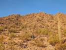 photo thumbnail #4