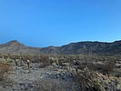 photo thumbnail #1