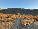 photo thumbnail #3