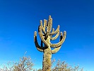 photo thumbnail #2