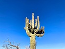 photo thumbnail #4