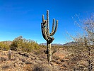 photo thumbnail #10