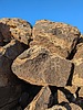 photo thumbnail #14