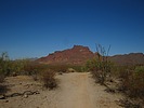 photo thumbnail #12