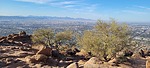 photo thumbnail #5