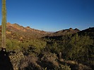 photo thumbnail #5