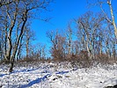 photo thumbnail #4