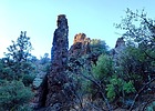 photo thumbnail #3