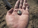 photo thumbnail #15