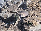 photo thumbnail #8