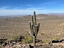 photo thumbnail #3