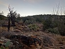 photo thumbnail #8