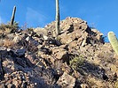 photo thumbnail #4