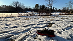photo thumbnail #5