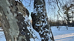 photo thumbnail #8