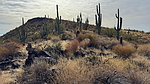photo thumbnail #4
