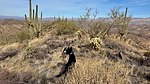 photo thumbnail #5